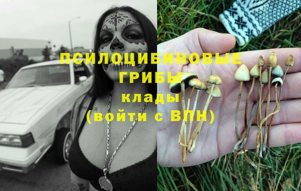 ешки Новодвинск
