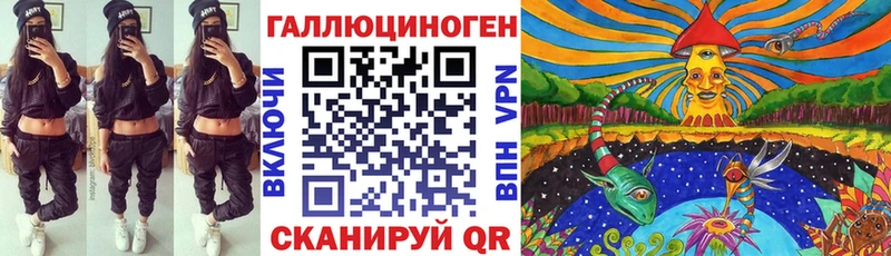 мориарти телеграм  Монино  Псилоцибиновые грибы Cubensis 
