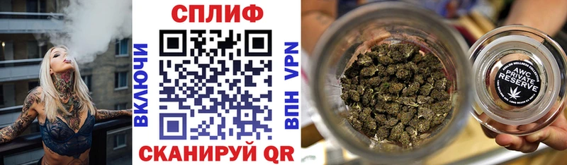 Шишки марихуана конопля  как найти   гидра   Монино 